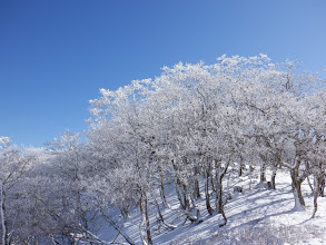 景色を見ながら進む