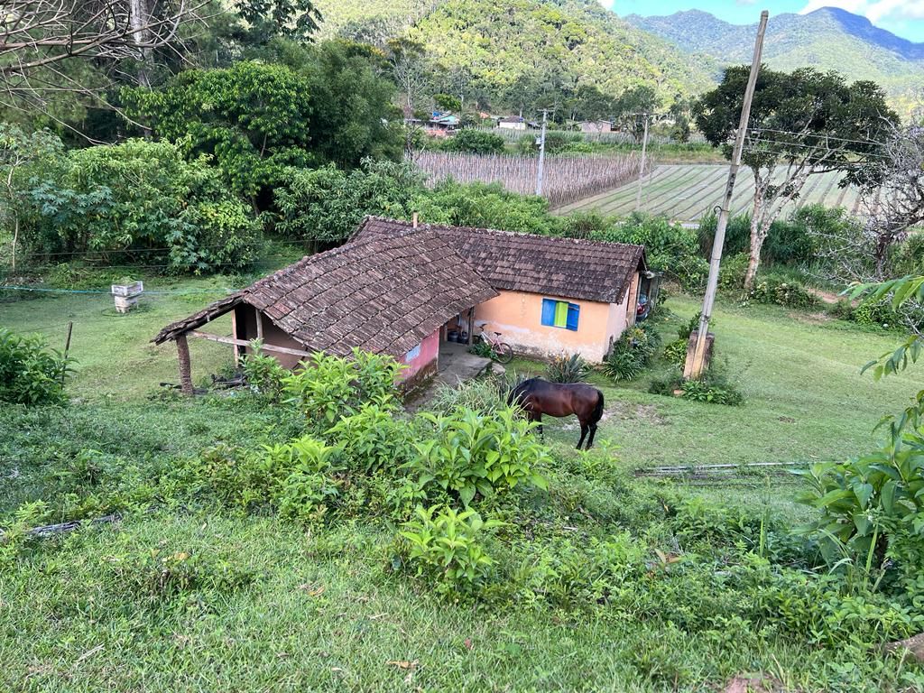 Sítios à venda São Lourenço