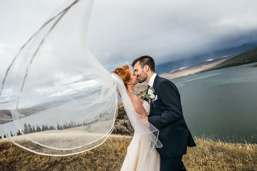 Fotógrafo de bodas Dorota Karpowicz (karpowicz). Foto del 14 de noviembre 2016