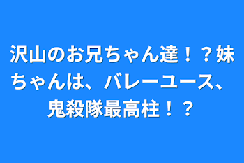 沢山のお兄ちゃん達！？妹ちゃんは、バレーユース、鬼殺隊最高柱！？