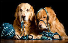 Golden Retriever Themes & New Tab small promo image