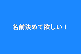 名前決めて欲しい！