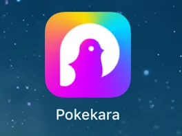 pokekaraやってた件について