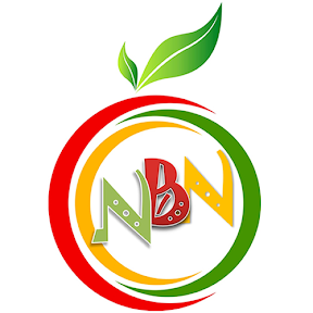North Brisbane Naturopathy logo