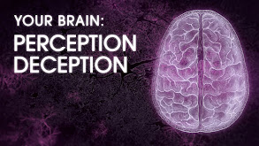 Your Brain: Perception Deception thumbnail