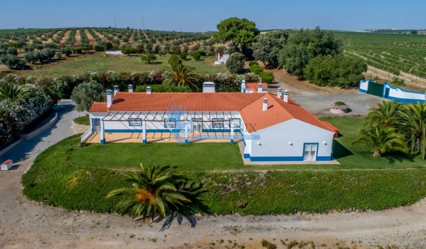 Farm house Ferreira do Alentejo