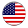 US Constitution icon