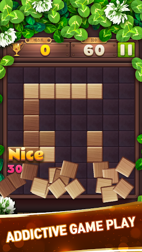 Wood Block Puzzle Game 2020