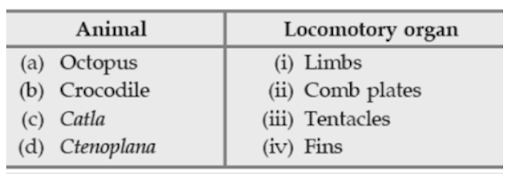 Important terms and classification of animals