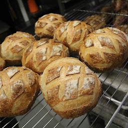 Sourdough Loaf