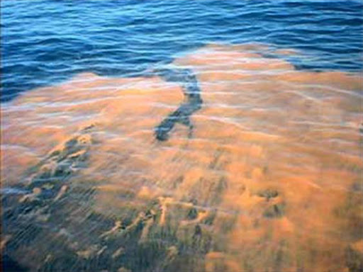 A red tide. File photo.