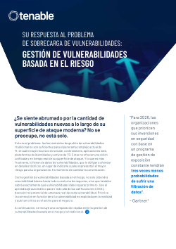 Su respuesta al problema de sobrecarga de vulnerabilidades 