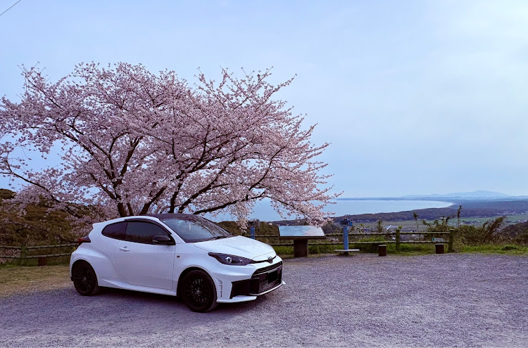 GRヤリスのサクラと愛車・4月もよろしくお願い致します🌸に関するカスタム事例の投稿画像1枚目