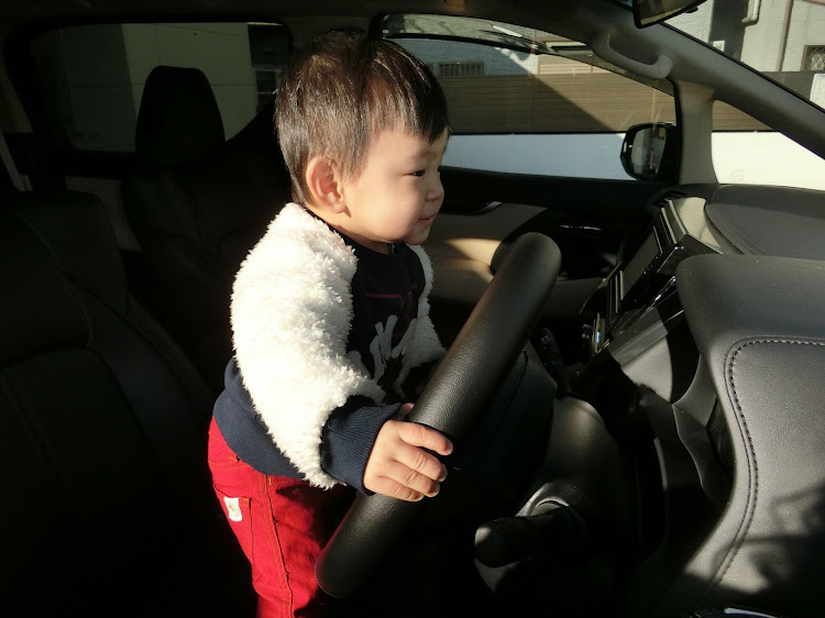 アルファードのRyuさんが投稿したカスタム事例の投稿画像2枚目