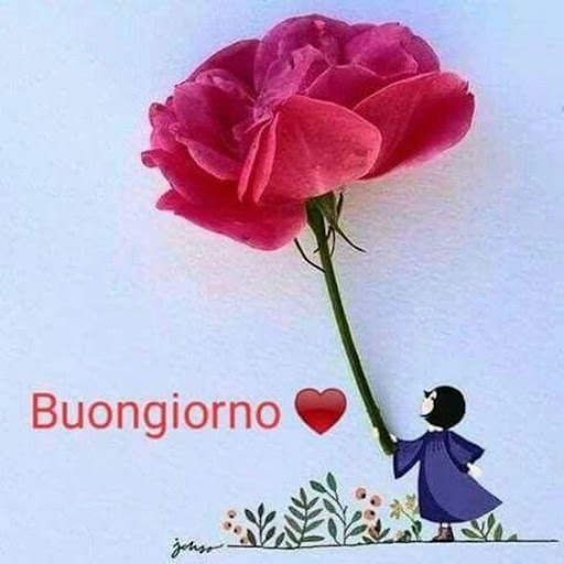 Buongiorno E Buona Notte Immagini Gif 2020