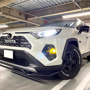 RAV4 MXAA54