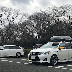 カローラフィールダー NZE161G