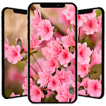Cover Image of Tải xuống Spring Wallpaper 1.0 APK