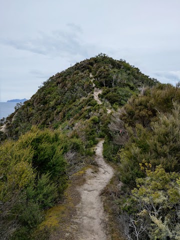 Busby Head Northland