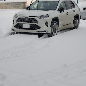 RAV4 MXAA54