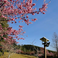 山上人家森林農場