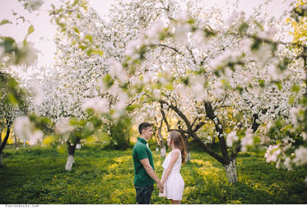 Photographe de mariage Andrey Pavlov (pavlov). Photo du 14 décembre 2016