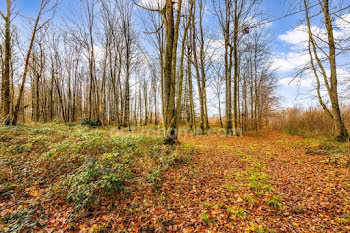 terrain à Orbec (14)