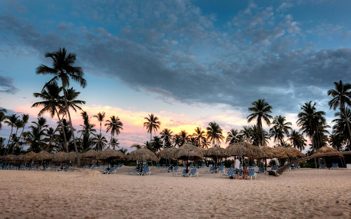 Tropical Paradise Theme screenshot 1