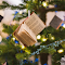 Item logo image for Hanging books