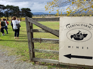 Yarra Valley with a wine tour