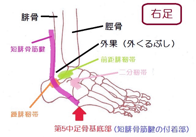 の投稿画像3枚目