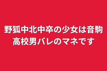 野狐中北中卒の少女は音駒高校男バレのマネです