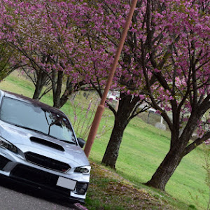 WRX S4