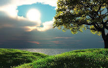 Nature Wallpapers New Tab Theme small promo image