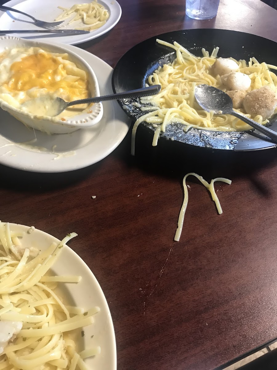 Mac and Cheese and Sea scallops