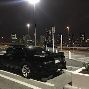ローレル