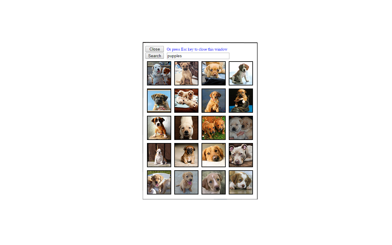 Flickr Photo Search Preview image 0