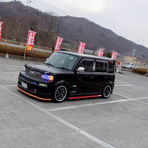 bB NCP31