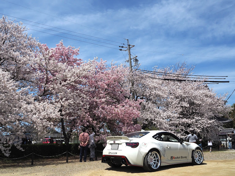 86のサクラと愛車・PROJECT.R・桜コラボ🌸・ロケバニwideに関するカスタム事例の投稿画像2枚目