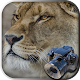 Hidden Animals: Photo Hunt - Seek and Find Games Download on Windows