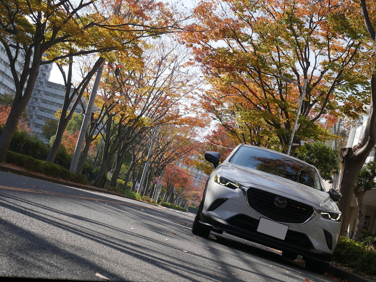 CX-3のみんなのエンジンルーム見てみたい・医療従事者に感謝とエールを‼️・都内も紅葉間近・明日は雨☔・スケルトンボンネットに関するカスタム事例の投稿画像5枚目