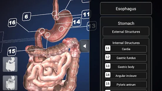 Endoscopy 3D (Free)(圖3)-速報App