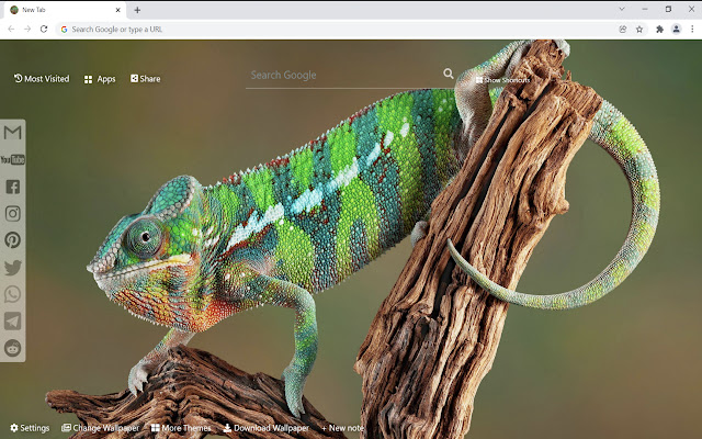 Chameleon Wallpaper HD New Tab