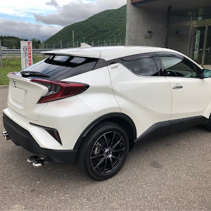 C-HR NGX50