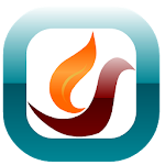 Firebird Browser - Super Fast Apk