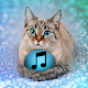 Download Animal Sounds Ringtones For PC Windows and Mac 1.0