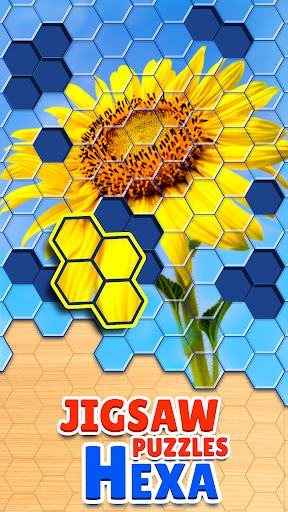 Screenshot Jigsaw Puzzles Hexa