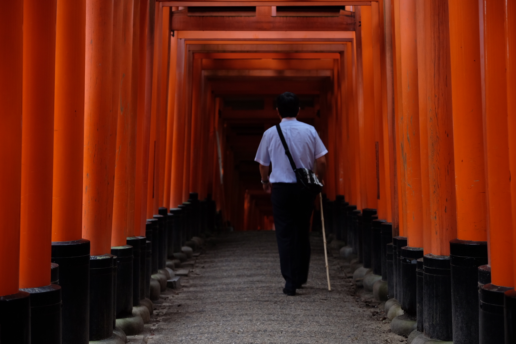 Fushimiinari di fabio_manghisi