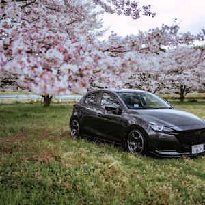 MAZDA2 DJLFS