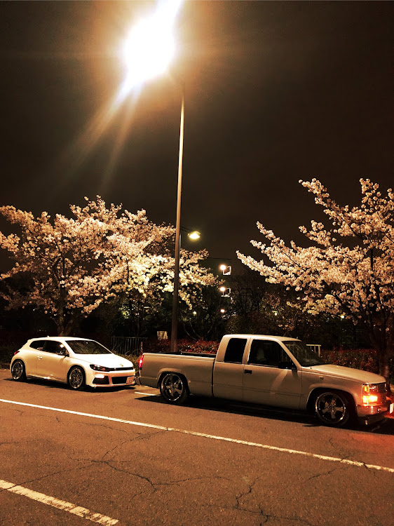 シロッコRのc1500・桜と愛車・夜桜・車高調整に関するカスタム事例の投稿画像3枚目